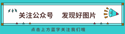 开发者社区动态显示，区块链安全成为全球关注焦点的简单介绍