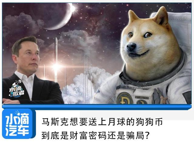 包含马斯克再次发推，狗狗币瞬间上上扬256%！的词条